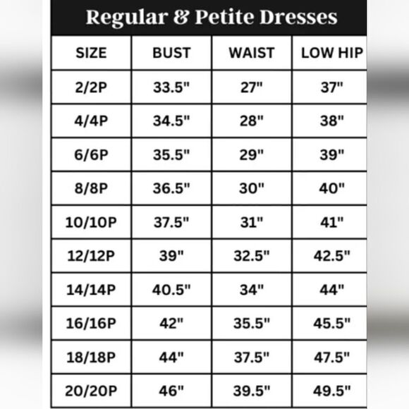 Alex Evenings Petite Long Rosette A-Line Gown with Sequin Detail - Picture 8 of 8